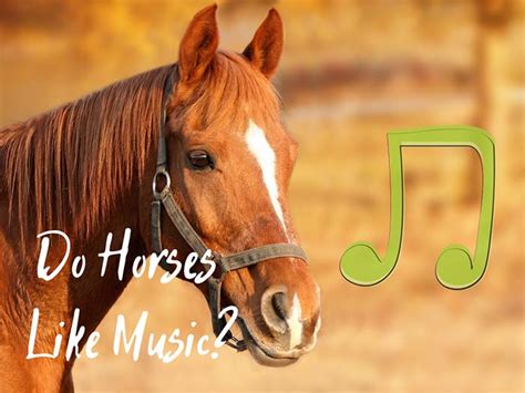 Do Horses Like Music? Exploring the Symphony of Equine Emotions