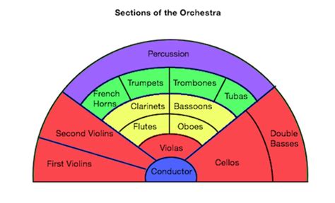 How Many Movements Make Up a Typical Haydn Symphony? And Why Do Some People Think They Can Hear the Composer's Coffee Preferences in the Music?